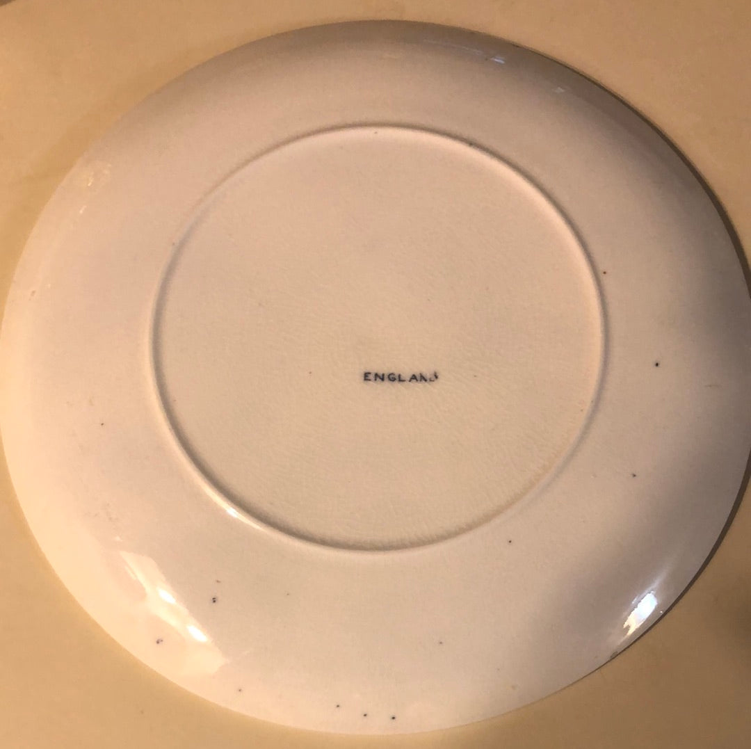 Blue and White Souvenir Plate from Atlantic City