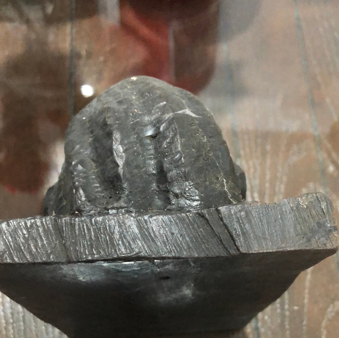 African Male Tribal Head statue